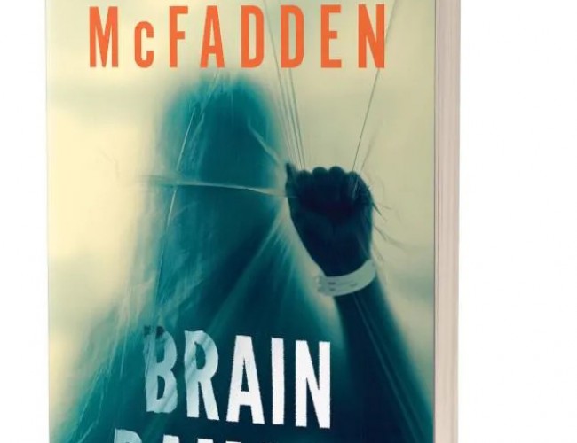 BRAIN DAMAGE by FREIDA MCFADDEN