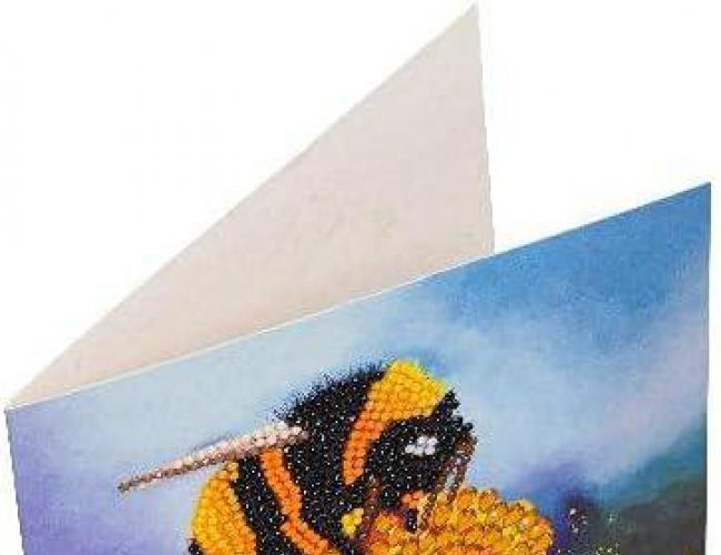 CA CARD KIT: BUMBLEBEE