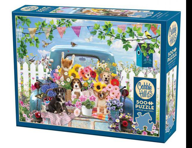 COBBLE HILL 500 PCS COUNTRY TRUCK IN SUMMER