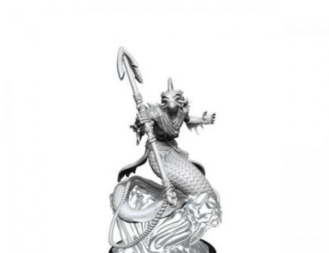 CR UNPAINTED MINIS SHALLOWPRIEST