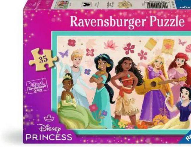 DISNEY PRINCESS 35 PC