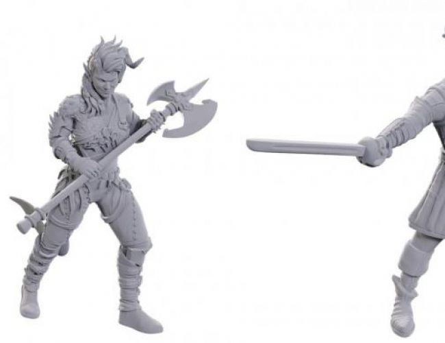 DND UNPAINTED MINI - BALDUR'S GATE 3: WYLL & KARLACH