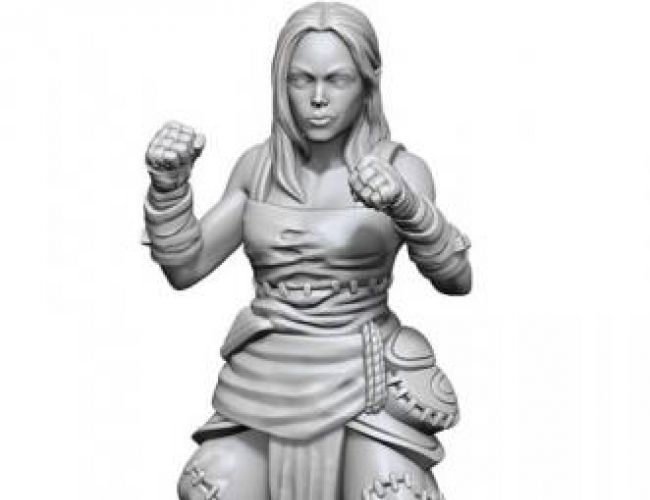 DND UNPAINTED MINIS: FEMALE HALF-ELF MONK