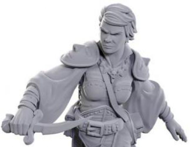 DND UNPAINTED MINIS: SWASHBUCKLER