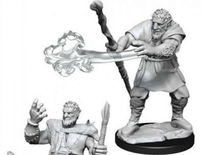 DND UNPAINTED MINIS WV 11 FIRBOLG DRUID