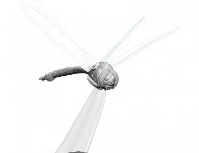 DND UNPAINTED MINIS WV 16 GIANT DRAGONFLY