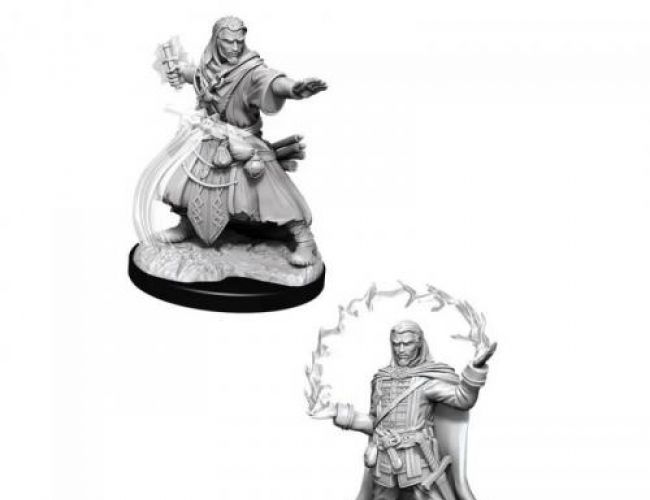 DND UNPAINTED MINIS WV13 HUMAN WIZARD MALE