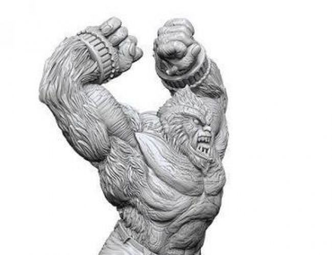 DND UNPAINTED MINIS WV21 BARLGURA