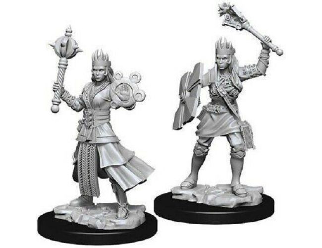 DND UNPAINTED MINIS WV8 FEMALE HUMAN CLERIC
