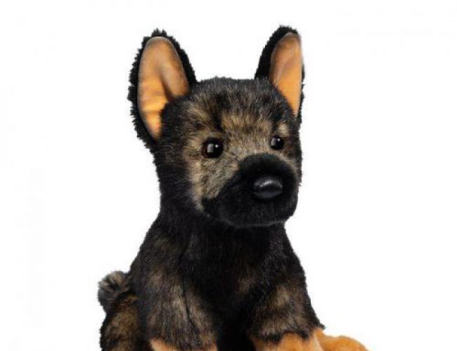 DOUGLAS 2051 CHIEF GERMAN SHEPHERD (sitting)