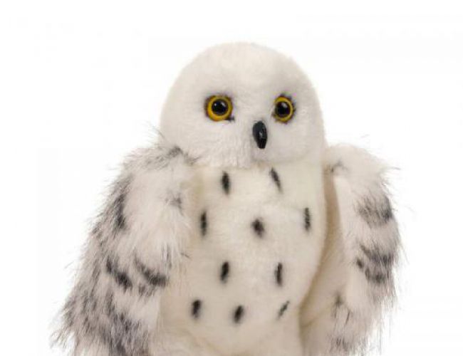 DOUGLAS 3841 WIZARD SNOWY OWL