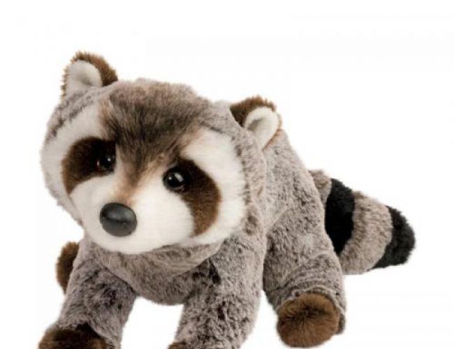 DOUGLAS 4147 RINGO RACCOON
