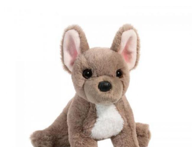 DOUGLAS 4664 GABBIE FRENCH BULLDOG