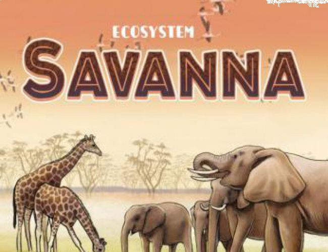 ECOSYSTEMS: SAVANNA
