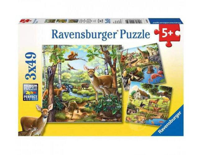 FOREST/ZOO/DOMESTIC ANIMALS 3X49 PUZZLE