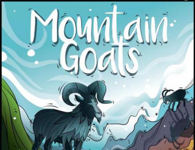 MOUNTAIN GOATS