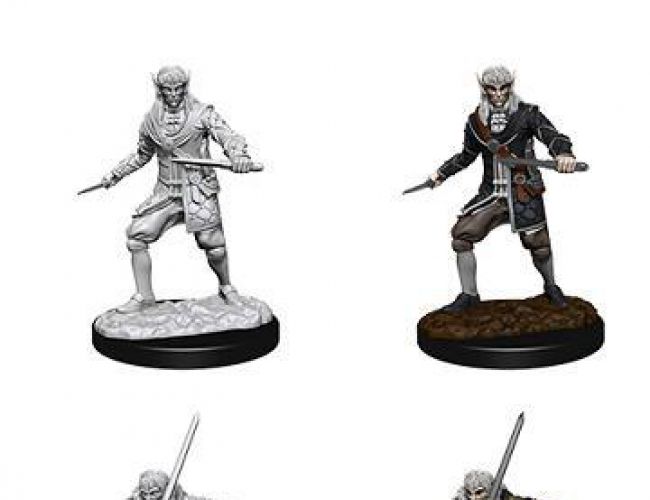 PF UNPAINTED MINIS  MALE ELF ROGUE