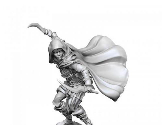 PF UNPAINTED MINIS WV1 HUMAN FEMALE ROGUE