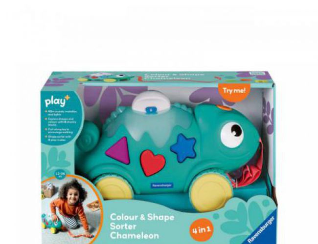 PLAY+ : COLOUR & SHAPE SORTER (12-36 months)