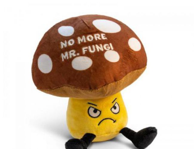 PUNCHKINS - NO MORE MR FUNGI