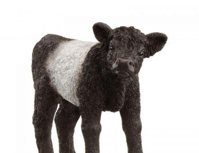 SCHLEICH GALLOWAY CALF