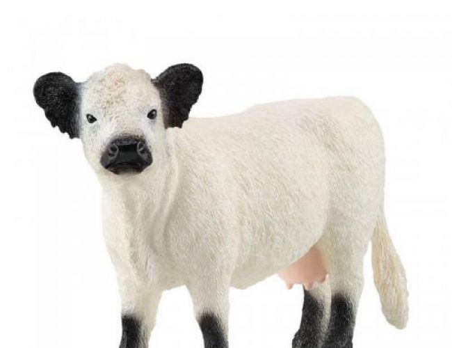 SCHLEICH: GALLOWAY CATTLE