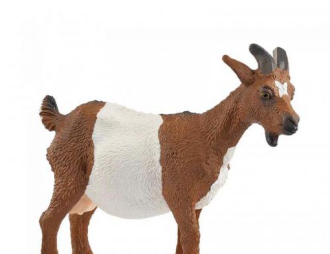 SCHLEICH: GOAT