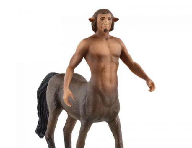 SCHLEICH HARRY POTTER FIRENZE