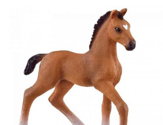 SCHLEICH: OLDENBURGER FOAL