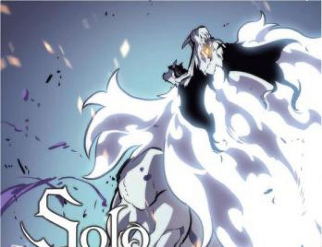 SOLO LEVELING VOL 6