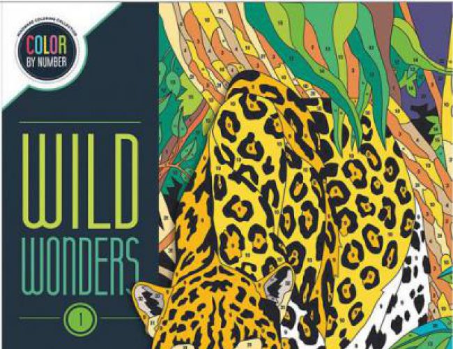 WILD WONDERS: BOOK 1