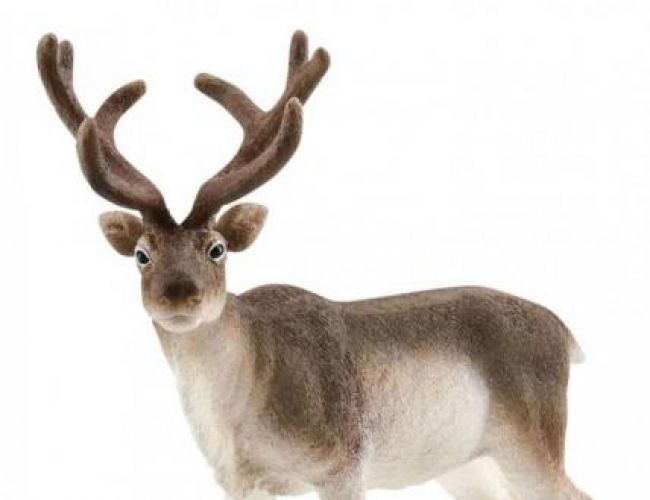 SCHLEICH REINDEER