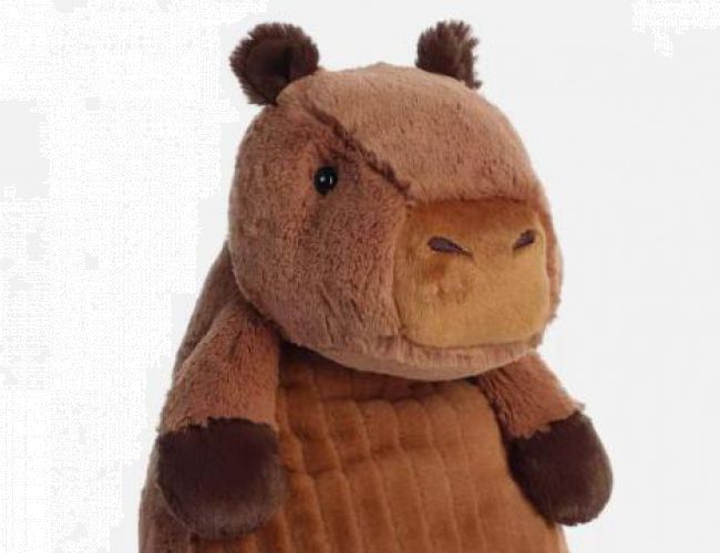 AURORA - HUGGLE PALS: COZY CAPYBARA