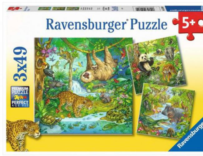 JUNGLE FUN 3x49PC PUZZLE