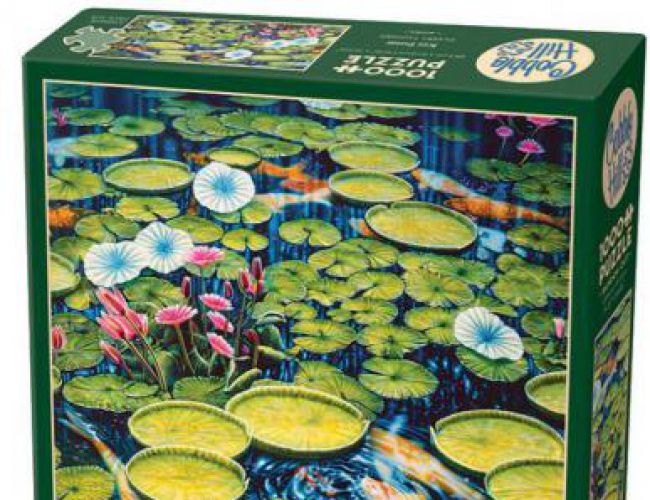 COBBLE HILL 1000 PCS KOI POND