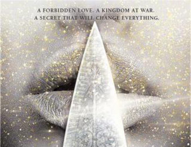 THE LAST NAMSARA by KRISTEN CICCARELLI