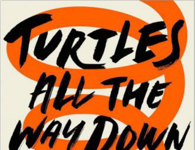 TURTLES ALL THE WAY DOWN by JOHN GREEN