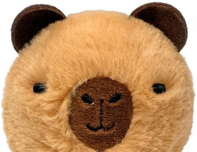 TY BEANIE BOUNCERS - BARRY CAPYBARA
