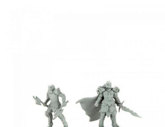 UNPAINTED MINIS: DRAGONBORN FEMALE FIGHTER