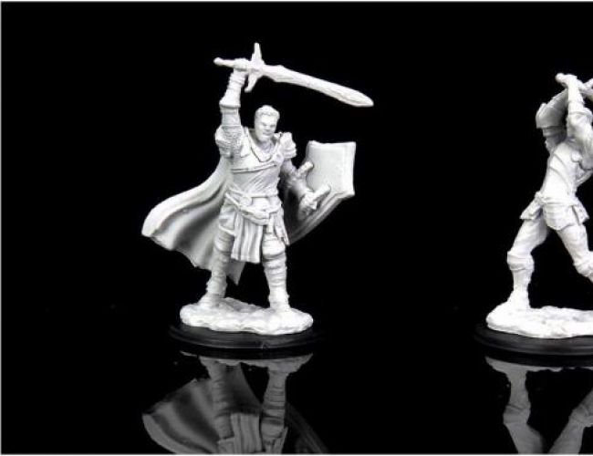 UNPAINTED MINIS: PALADIN HUMAN MALE