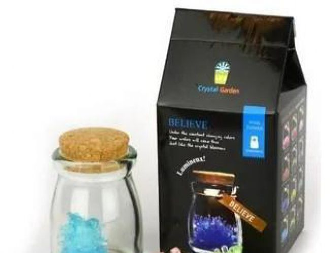 WISH FLOWER CRYSTAL (ASSORTED COLOURS)