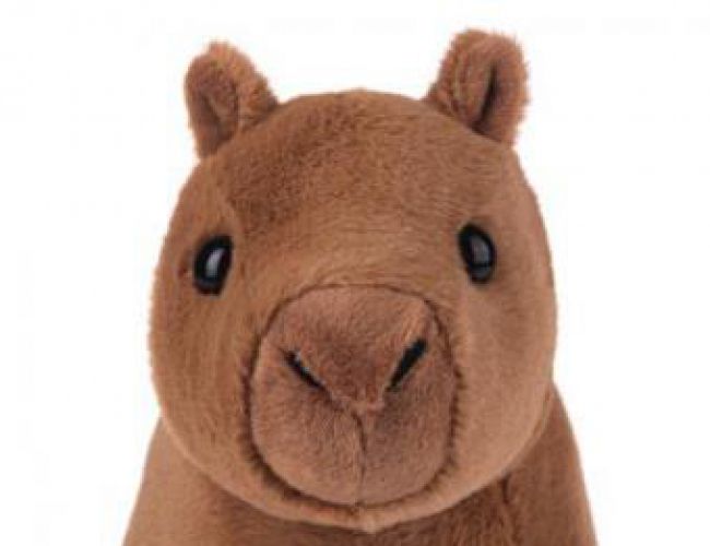 WEBKINZ CAPYBARA