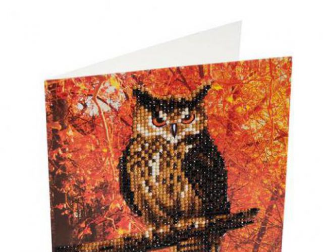 CA CARD KIT: AUTUMN OWL