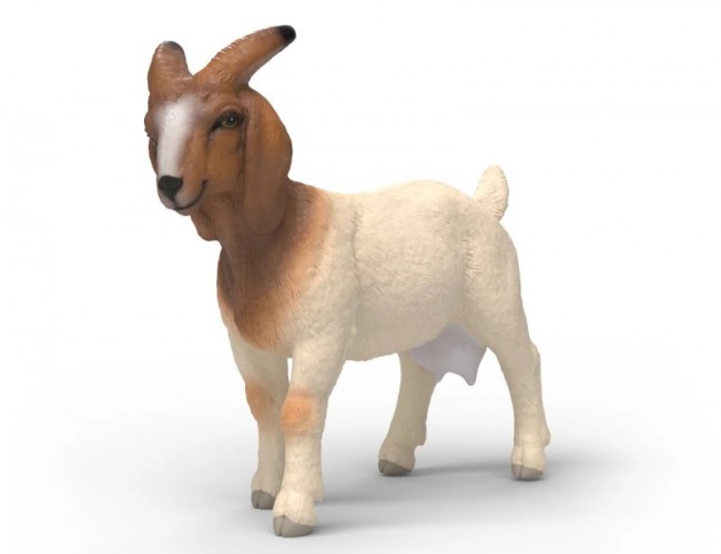SCHLEICH BOER GOAT