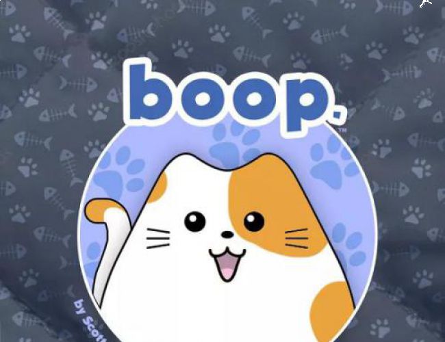 BOOP