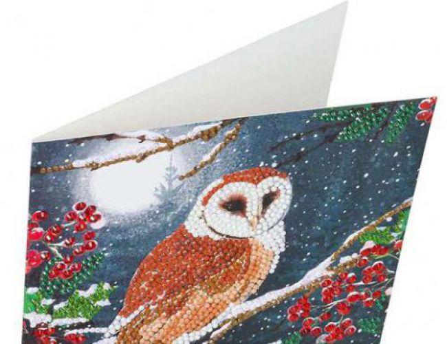 CA CARD KIT: BARN OWL