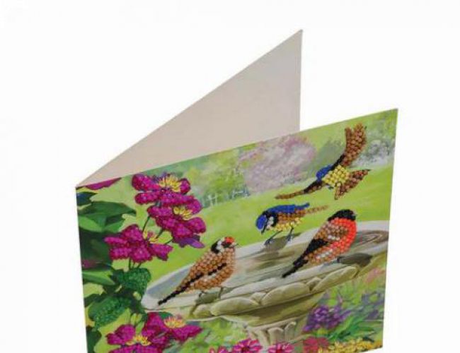 CA CARD KIT: BIRDS