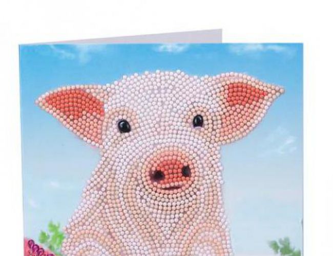 CA CARD KIT: PIG ON THE FENCE
