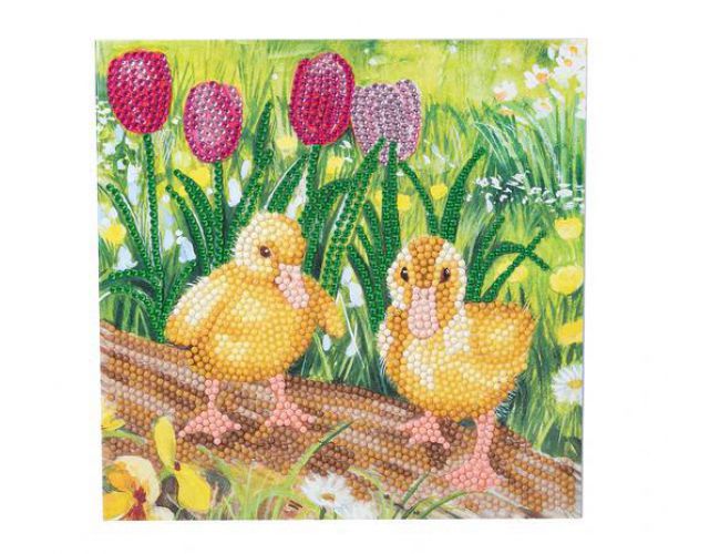 CA CARD KIT: SPRING CHICKS