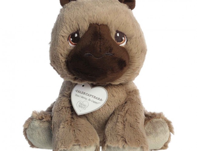 AURORA PRECIOUS MOMENTS: CALEB CAPYBARA